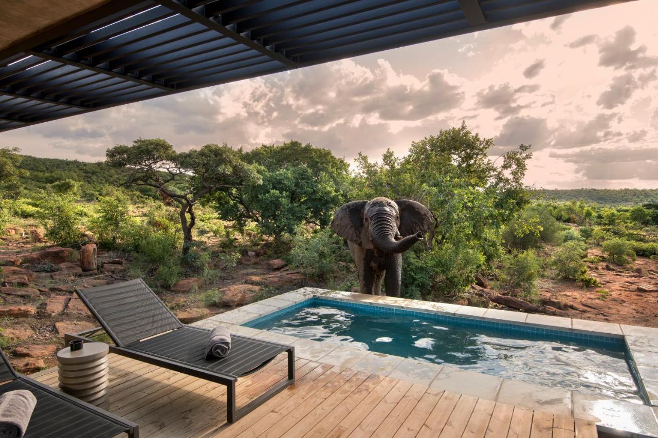 57 Waterberg Villa Welgevonden Game Reserve Eksteriør bilde