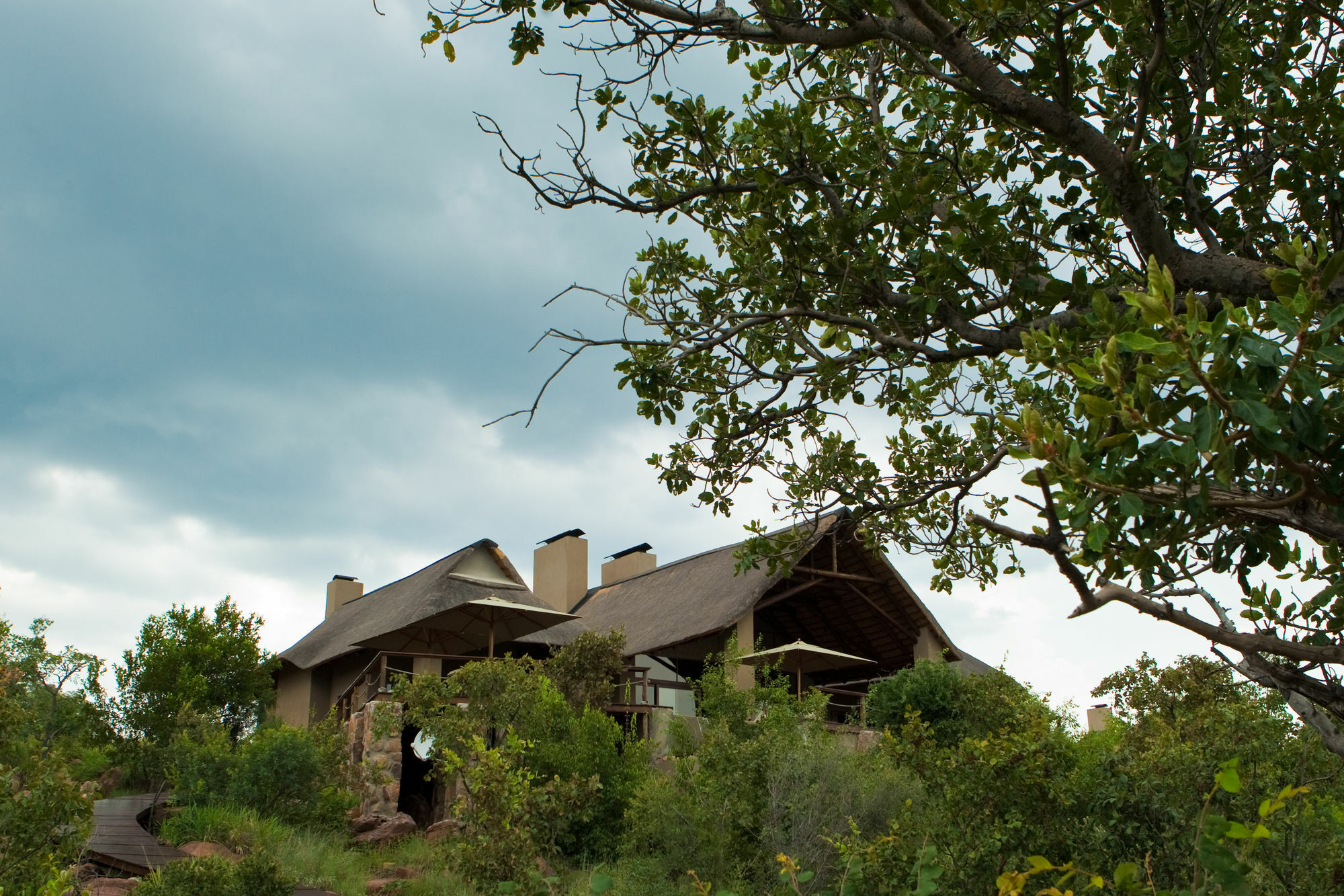 57 Waterberg Villa Welgevonden Game Reserve Eksteriør bilde